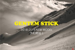 18-19GENTEMSTICK